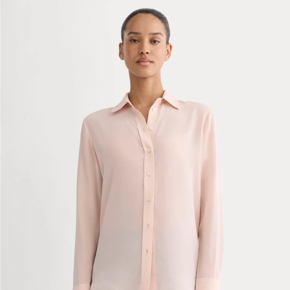 Everlane washable silk Button Down Shirt